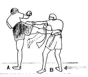 발차기 방향으로 힙과 몸을 회전하며 미들킥을 하는 모습