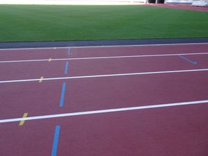 국립경기장의 육상 경기 트랙