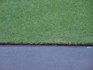 국립경기장의 필드 구역의 잔디