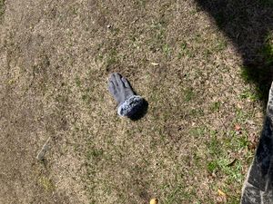 잃어버린 짝 잃은 장갑