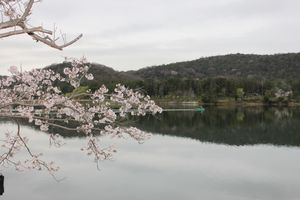 현립 자연공원 갹이케