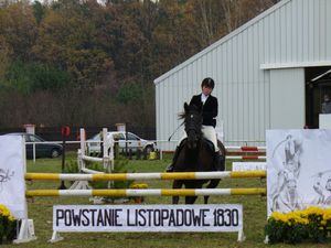 말이 장애물을 넘어뜨리면 4점의 벌점 또는 "실권"이 부과된다.