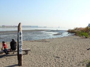 하구 부근. 조수 간만의 영향을 받아 모래와 흙이 퇴적되어 갯벌 상태가 되어 있다.