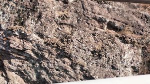 죽곡산 남서쪽 낙동강 자전거길의 노두대구광역시 달성군 다사읍 매곡리 산 1320