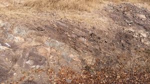 박곡리 소재 앞산 남서측에 드러난 노두대구광역시 달성군 다사읍 박곡리 387