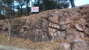 매곡리7길 도로변의 노두대구광역시 달성군 다사읍 매곡리 841