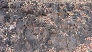 매곡리7길 도로변의 노두대구광역시 달성군 다사읍 부곡리 269