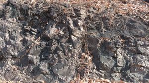 북다사 나들목 서쪽 다사로 도로변 노두대구광역시 달성군 다사읍 매곡리 산 102-5