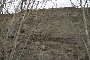 고령군 우곡면 답곡리 우곡강변길 도로변