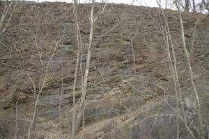 고령군 우곡면 답곡리 우곡강변길 도로변