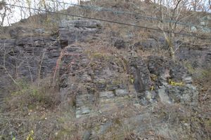 고령군 우곡면 예곡리 우곡강변길 도로변