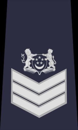 싱가포르 경찰 상사