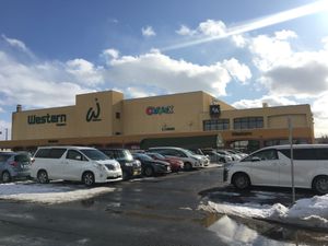 웨스턴 파워즈（2020년 2월）