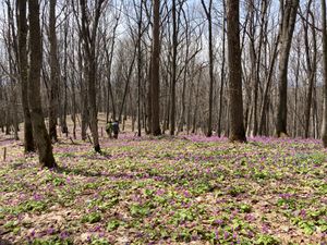 오토코야마 자연 공원