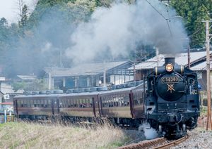 C58 363호기가 견인하는 'SL 팔레오 익스프레스'