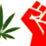 60년대, 마리화나는 반문화의 중요한 아이콘이 되었다. 대학생들은 캠퍼스에서 마리화나를 유통시켰다.