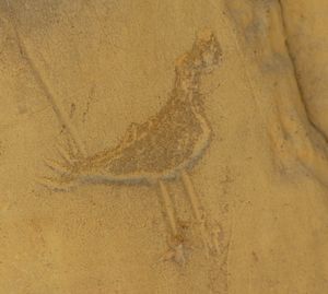 차코 픽토그램, 차코 문화 국립 역사 공원, 뉴멕시코