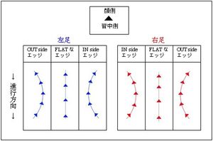 그림 2: 에지 및 스케이팅 방법