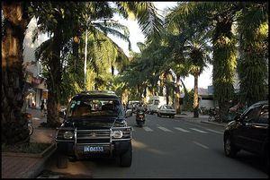 징훙시의 야자 가로수길