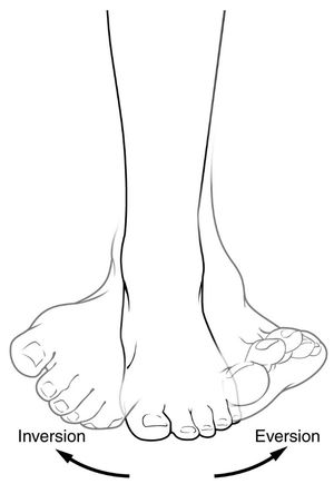 발의 안쪽들림(내번)과 가쪽들림(외번)을 보여주는 예시