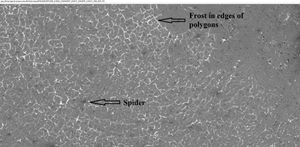 북반구 봄 동안 다각형에서 거미와 서리의 모습, HiRISE가 HiWish 프로그램으로 관측.