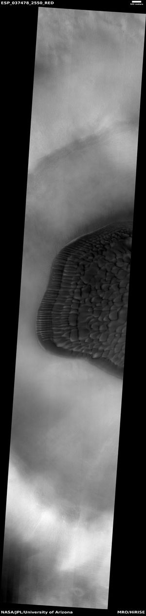 HiRISE가 HiWish 프로그램으로 촬영한, 분화구 바닥의 사구