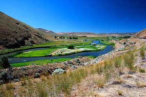 사막 계곡을 가로지르며 여러 개의 수로를 형성하는 강