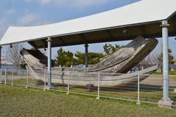 고대선 「나미하야」