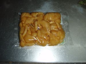 일본에서 유통되는 균상 재배 나도팽나무버섯