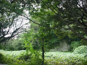 호조 다카토키 등 일족과 가신들이 자결한 동승사 터