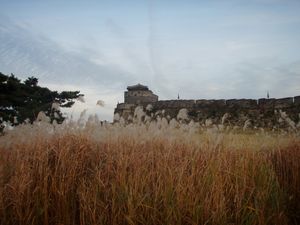 성벽 밖에서 본 모습
