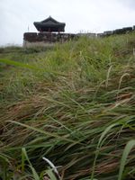 성벽 밖에서 본 모습