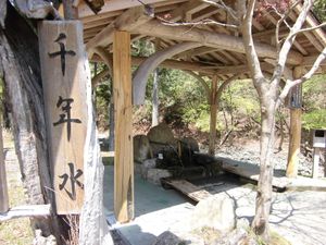 천년수(千年水)(쿰분(公文))