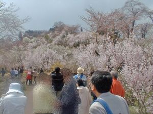 하나미야마 공원 산책로 (2004년)