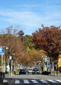 향양대의 공원길 및 성산공원의 파인타워