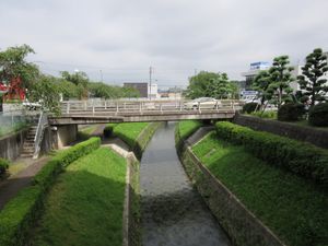 하루키가와(春木川) (도고정청 앞에서 촬영)