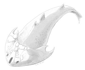 투지아스피스는 중국 초기 실루리아기(텔리키안)의 가시상어 무악류로, 짝지어진 지느러미의 기원을 보여준다.