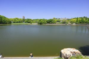 네코가호라 연못 (2023년)