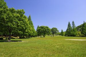 메타세쿼이아 광장 (2023년)