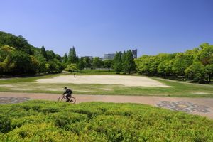 메타세쿼이아 광장 (2023년)