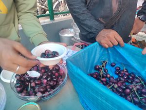 네팔의 지역 시장에서 판매되는 익은 열매