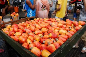 브라질 조앙 페소아에서 판매 중인 캐슈 애플과 캐슈넛