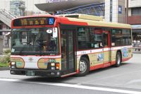 이스즈 엘가 (PKG- 이후). 블루리본 II와 엘가는 PKG-부터 헤드라이트 모양이 달랐다.