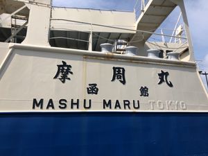 마슈마루의 선명 및 선적 표기。「TOKYO」라는 글자가 흰색으로 칠해져 있다. 또한 「函館」이라고 쓰인 부분을 자세히 보면 「東京」이라는 글자를 흰색으로 칠한 위에 「函館」이라고 다시 쓴 흔적을 알 수 있다.