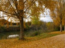 만사나레스 강이 엘 파르도 산을 흐르는 모습