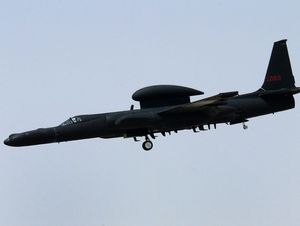 후부에 있는 물방울 형태의 포드가 시니어 스팬.