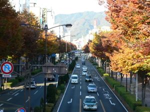 고후 평화 거리