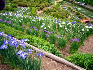 마키야마 아이메원