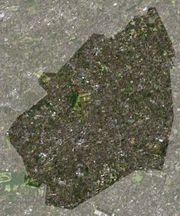 니시토쿄시의 랜드샛 위성 사진.