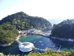 시모다 해중 수족관